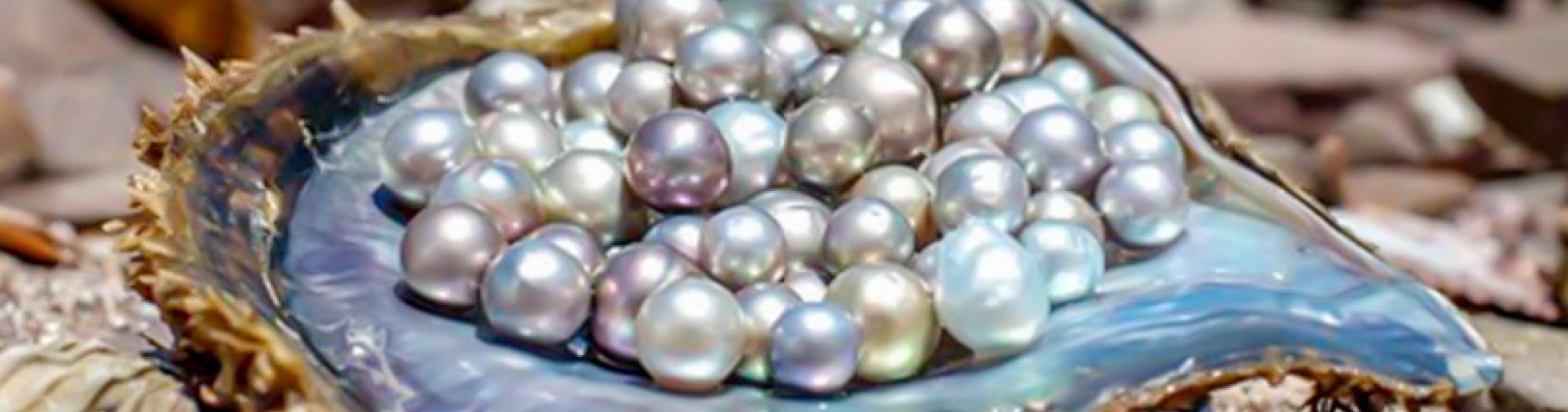 Understanding Pearl Colors- How Do Oysters Make Colored Pearls-2-2280x600w